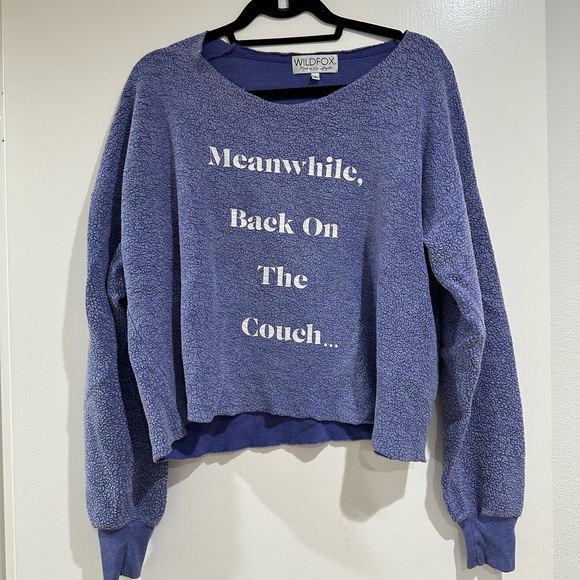 Wildfox Sweaters - Wildfox Sweater 🛋️